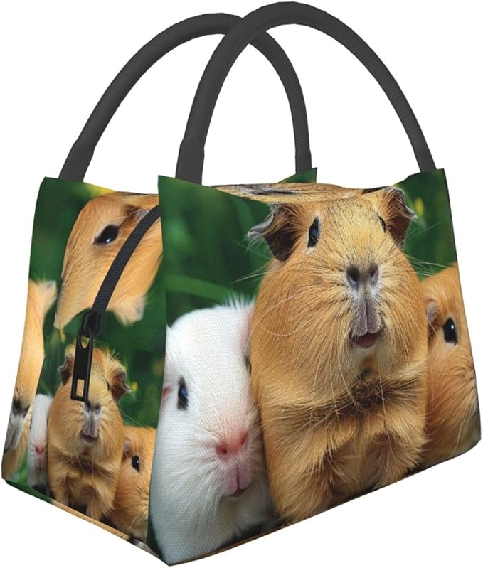 Cute Pet Printed Insulated Lunch Tote Bag for Men Women Reusable Lunch Box Cooler Bags Wide Open Lunch Organizer for Work Travel Picnic