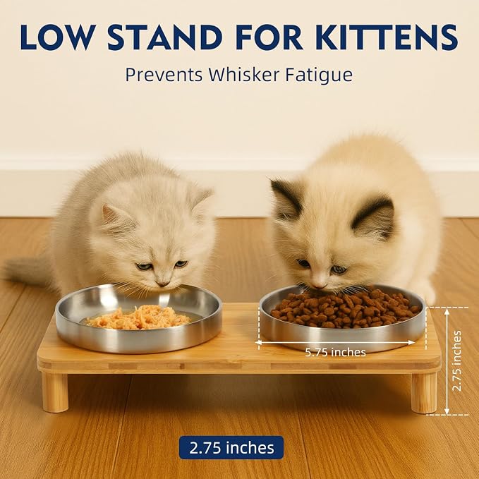 DoogCat Raised Cat Bowls, Bamboo Stand with 2 Stainless Steel Bowls | Adjustable Height, Whisker-Friendly Design, Food & Water Set, Stable Construction, Easy to Clean