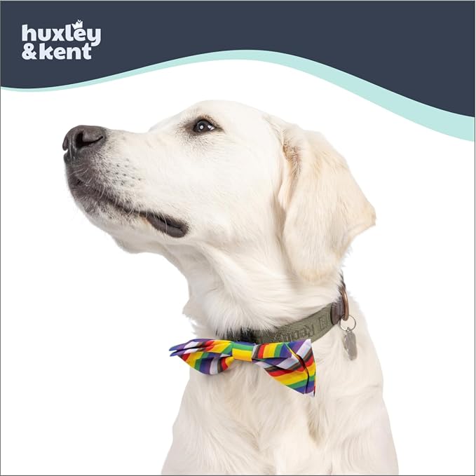 Huxley & Kent Pet Bow Tie for Dogs & Cats, All Together, Large/XLarge | Hook & Loop Attaches to Any Collar, Soft Polyester, Lightweight & Machine Washable, Perfect for Holidays & Photos