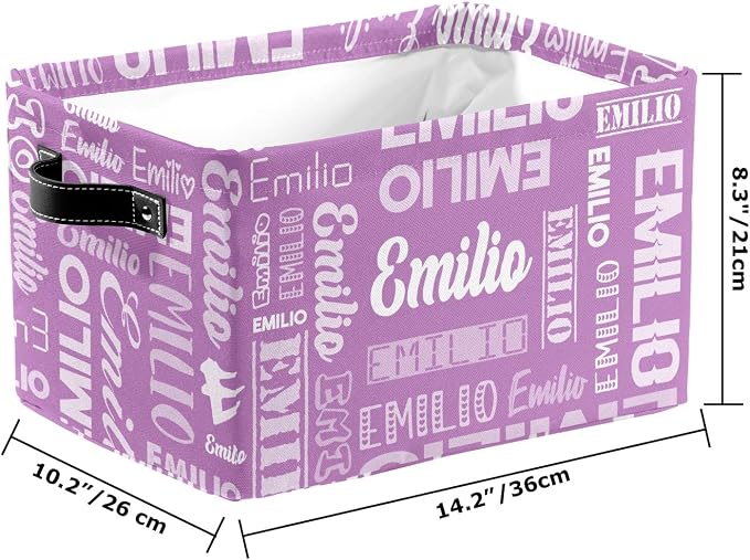 Personalized Toy Box Storage Bins for Boys Girls with Name, Kids Custom Storage Basket Cubes Organizer with Handles, Shelf Closet Storage Baskets Bin Customized Gift, 1 Pack