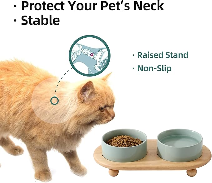 Havniva Ceramic Elevated Cat Food and Water Bowl, Kitty Bowl, Raised Cat Dish, Pet Feeder (5.1 in, 2 x Light Green + Stand)