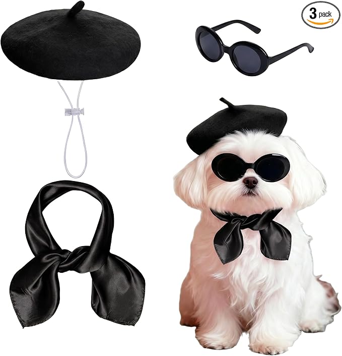 Dog Beret Set Including Dog Beret Satin Scarf Funny Glasses Pet French Artist Beanie for Small Dogs Cats Halloween Christmas Cosplay Party (Black)