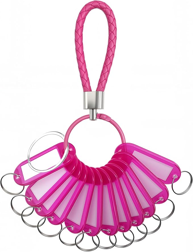 12 Pcs Plastic Key Tags with Labels and Ring Window, Single Color for Luggage, Pet ID, USB Drive (1 Color)