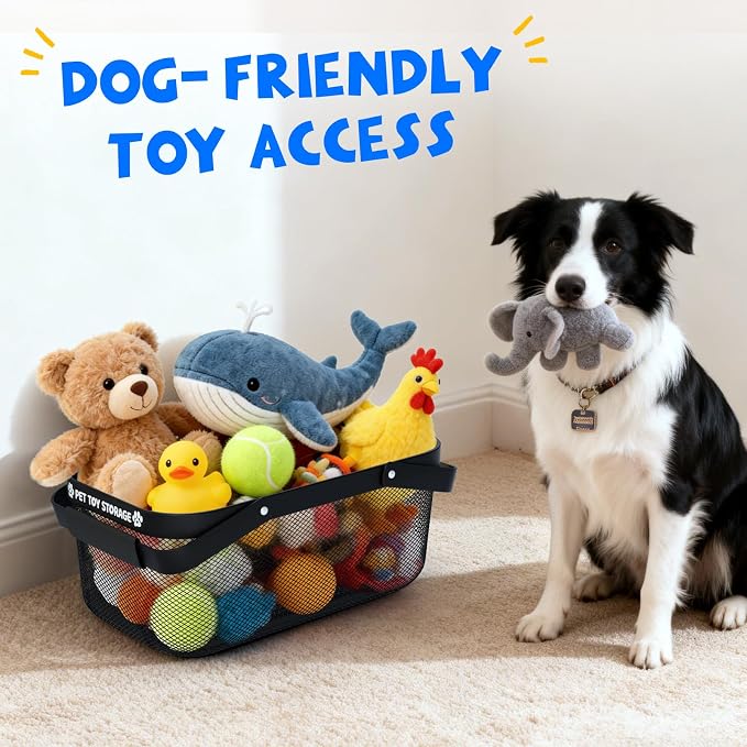 Dog Toy Basket, Metal Wire Dog Toy Storage Bin with Handles, Roomy Medium Pet Toy Organizer, Sturdy Basket for Living Room Area and Outdoor Play Toys, Black, 16" x 9.5" x 7"