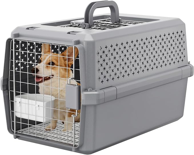 Hard-Sided Pet Carrier: Portable Travel Crate for Medium Pets | Secure Metal Locking Door / 360° Ventilation Panels / Spacious for Medium Pets / Top Carry Handle / Lightweight Durable Shell