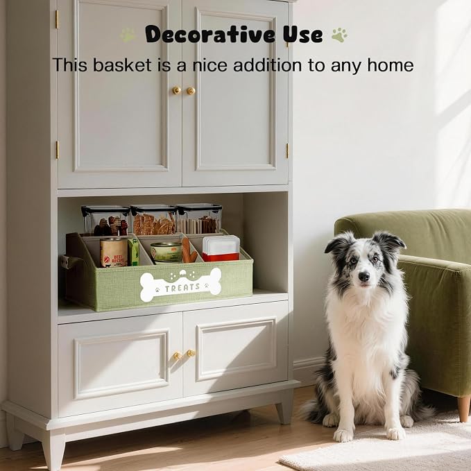 Dog Treat Container, Dogs Storage Organizer with Removable Dividers, Collapsible Dogs Treat Holder for Countertop, Trapezoid Pet Treats Containers, Dog Toy Basket with PU Handles, Medium, Green