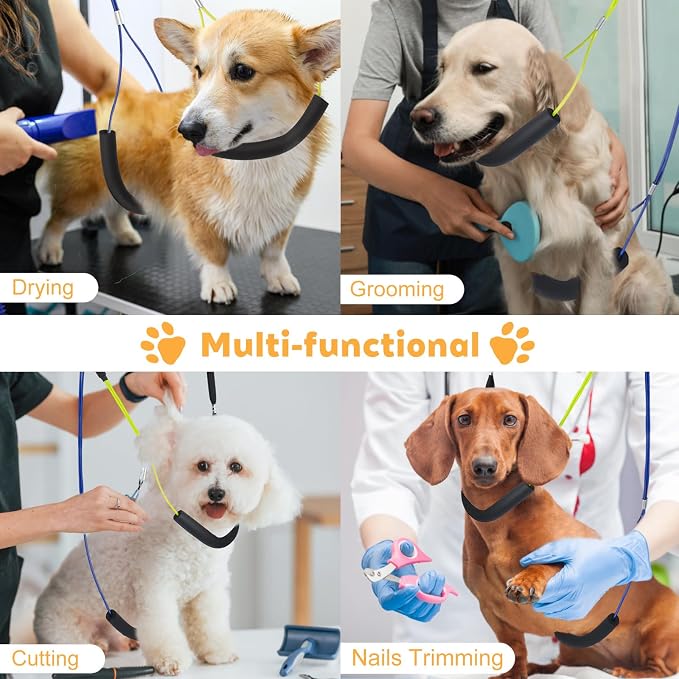 Adjustable Pet Grooming Arm with Clamp for Small & Medium Large Dogs,58" | Dog Grooming Arm,Grooming Loop & No Sit Haunch Holder Dog Grooming Station with Clamp for Home Use,Nail Trimming & Drying