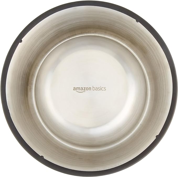 Amazon Basics Stainless Steel Non-Skid Dog Water And Food Bowls, Dishwasher Safe, Rust Resistant, 38oz Capacity, 10 x 2.8 Inches, 2-Pack