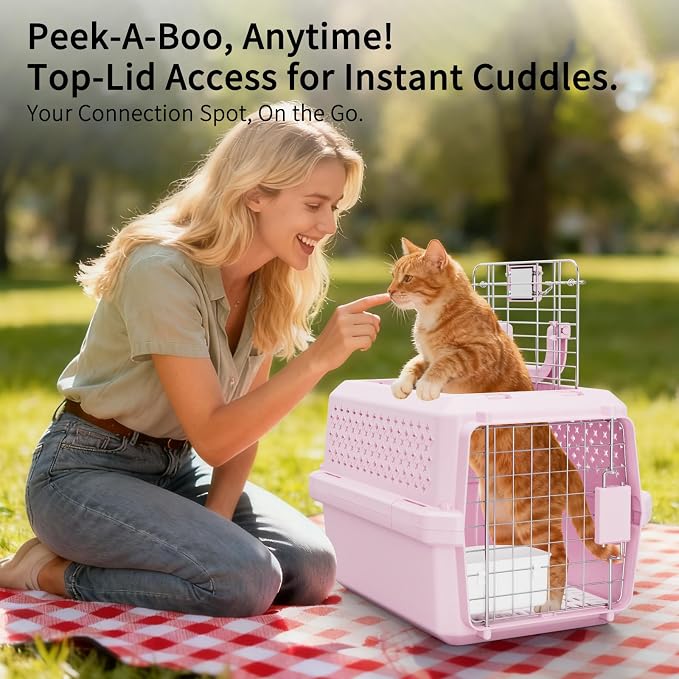 XS Hard Pet Carrier: Travel Crate for Small Cats & Dogs 10 lbs | Secure Locking Wire Door / Compact 16.9" x 12" x 11.8" / Multi-Side Ventilation / Lightweight Shell / Includes Food Bowl