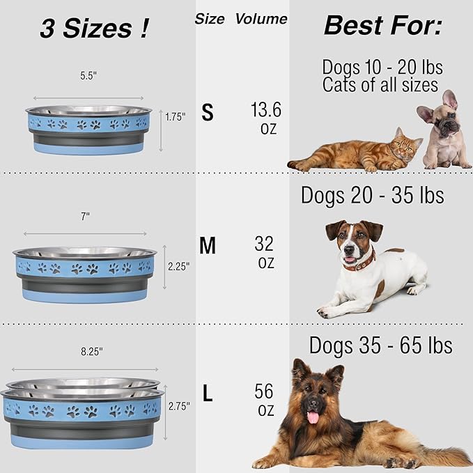Loving Pets Corsa Dog Bowls- Stainless Steel Dog & Cat Bowls - Spill Proof Dog Food Bowl, Cat Bowl, Puppy Essentials & Pet Supplies Great for Home & Travel (Small 10-20 lbs, Rapid Blue)