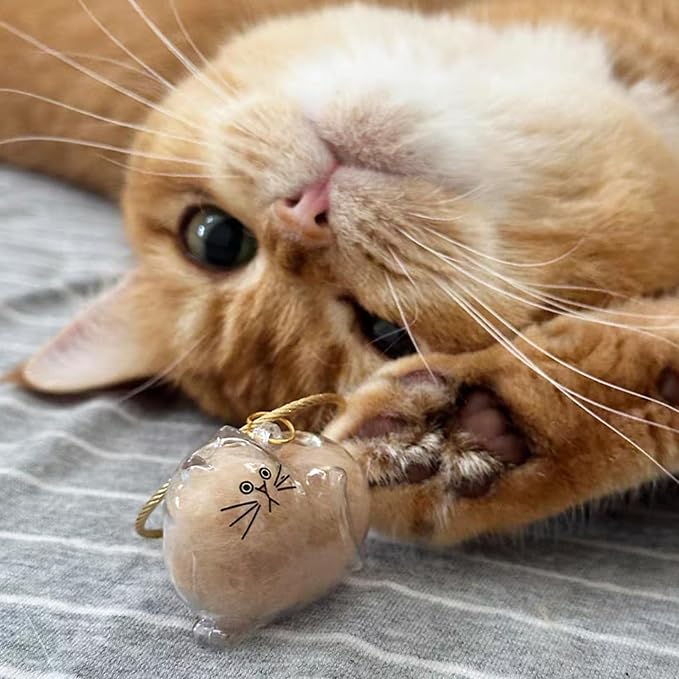 2 Pcs Cat Hair Keychain Transparent Pet Fur Keepsake with Tweezer | Portable Cat Fur Keychain DIY Pet Hair Memorial Keepsake Cats Hairs Collector Charm Storage Box, Cats Lover Collecting Gifts