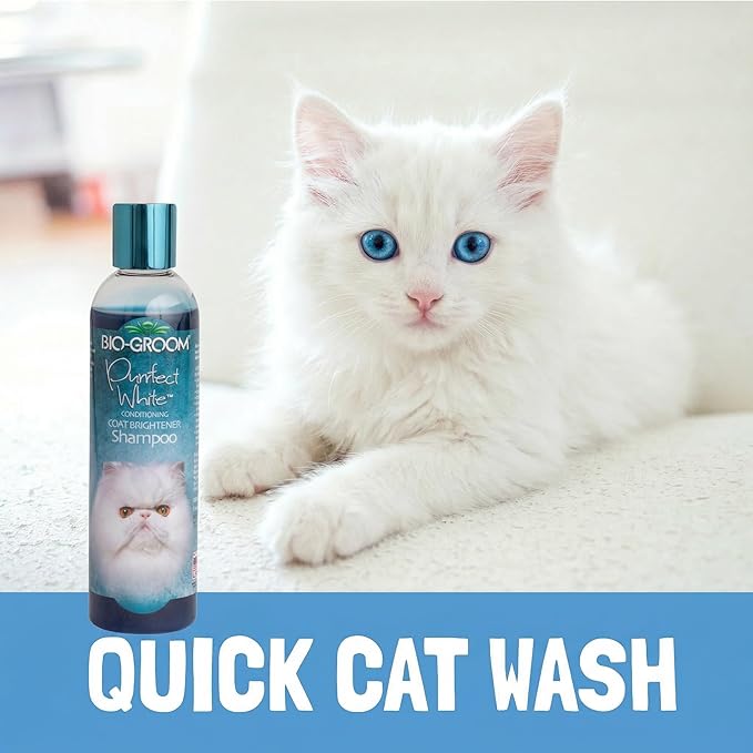 Bio-Groom Purrfect White Cat Shampoo – Color Enhancing Pet Shampoo, Cat Bathing Supplies, Kitten Wash, Cat Grooming Supplies, Cruelty-Free, Made in USA, Coat Brightener Shampoo – 8 fl oz 1-Pack