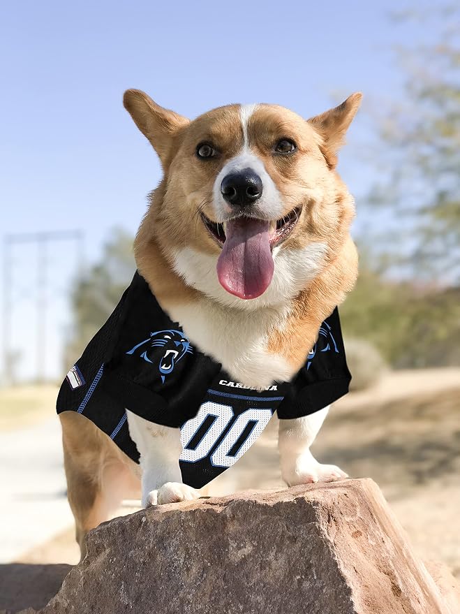 NFL CAROLINA PANTHERS DOG Jersey, X-Small