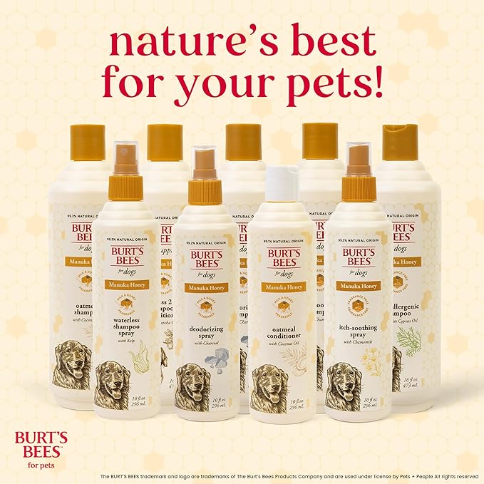 Burt's Bees for Pets Itch Relief Shampoo for Dogs, Manuka Honey & Chamomile, Soothes Itchy Skin, pH Balanced for Dogs & Puppies, Will Not Wash Off Flea Treatments, Fragrance-Free, 16 Fl Oz