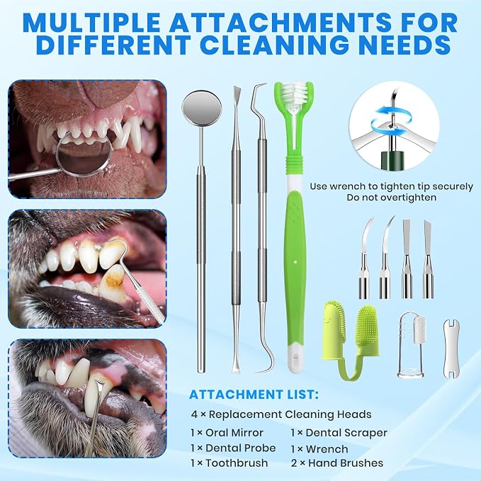 Dog Plaque Remover for Teeth,Pet Ultrasonic Tooth Cleaner,Green | dog teeth cleaning,plaque remover for teeth,dog tartar and plaque remover,plaque off for dogs,5 Mode Pet Teeth Cleaning Kit