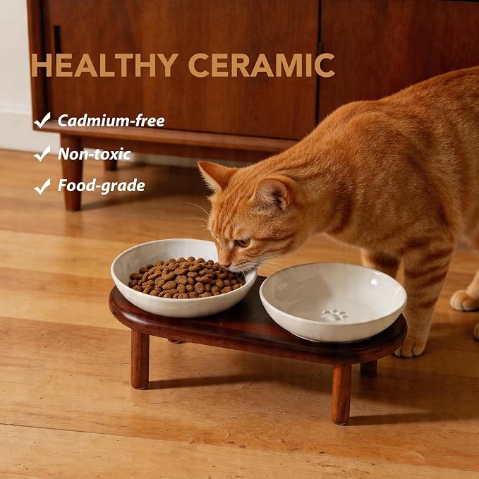 Havniva Elevated Cat Bowls, Ceramic Cat Bowl with Wood Stand, Wide Opening | 5.7” Raised Cat Food Bowls, Whisker Friendly Cat Dish, Anti-Slip Cat Water Bowls, Shallow Cat Bowls, Cat Food & Water Bowl