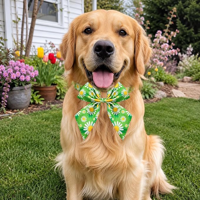 PET SHOW 10 Pack Floral Sailor Dog Bowties for Large Dogs