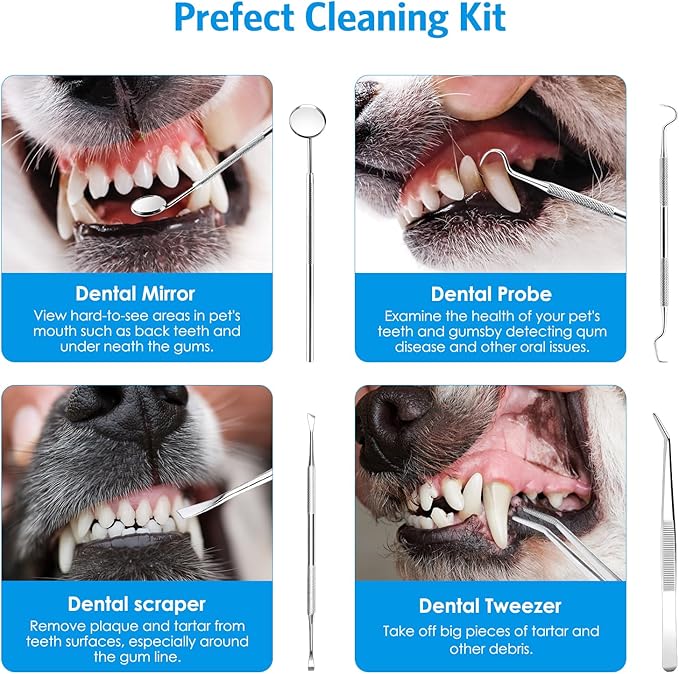 AMIR Ultrasonic Pet Plaque Remover, Electric Teeth Cleaning Kit for Dogs & Cats with 5 Modes, LED Light, IPX6 Waterproof, USB Rechargeable Toothbrush Cleaner for Dogs Cats (Blue)