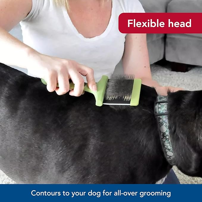 Coastal Pet Safari Dog Flexible Slicker Brush - Dog Brush for Shedding - Undercoat Rake & Grooming Tools for Small & Medium Pets - Small