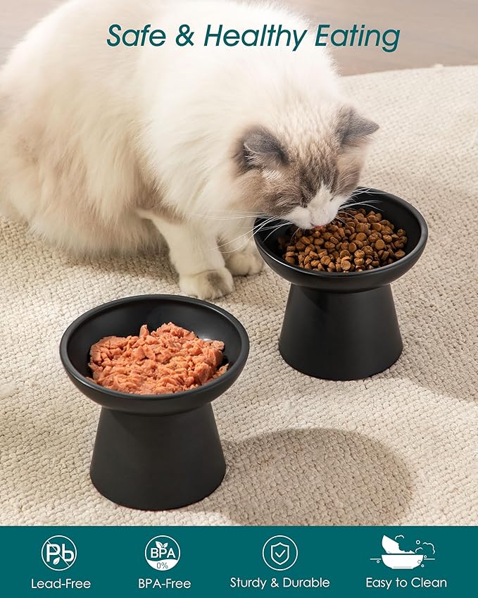 vancasso Elevated Cat Food Bowls 2-Pack, 6.2" Wide Shallow Cat Feeding Bowl for Whisker Fatigue, 5.1" Height Ceramic Raised Food Bowls for Senior Cats, Anti Vomit, Black