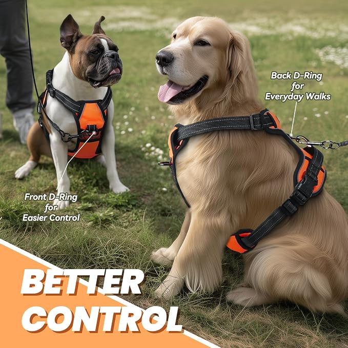 VIVAGLORY No Pull Dog Harness Vest Harness, M, Orange - Plain | with Handle Front and Back Clip for Training & Pulling, No Pull & Escape Proof Padded Adjustable for Pet Puppy