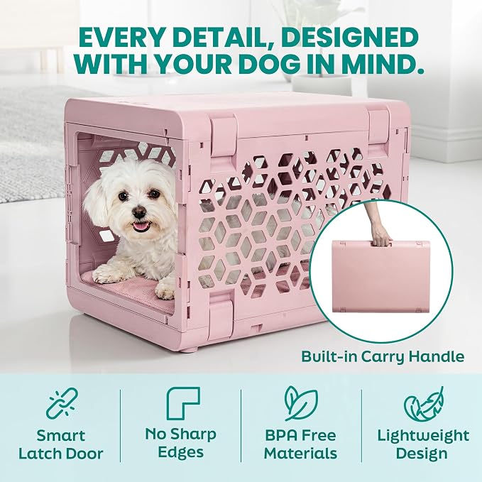 PAWD Collapsible Puppy and Dog Crate - Stylish Pet Kennel - Safe Indoor Kennel- Lightweight, Compact & Portable for Travel - Small White