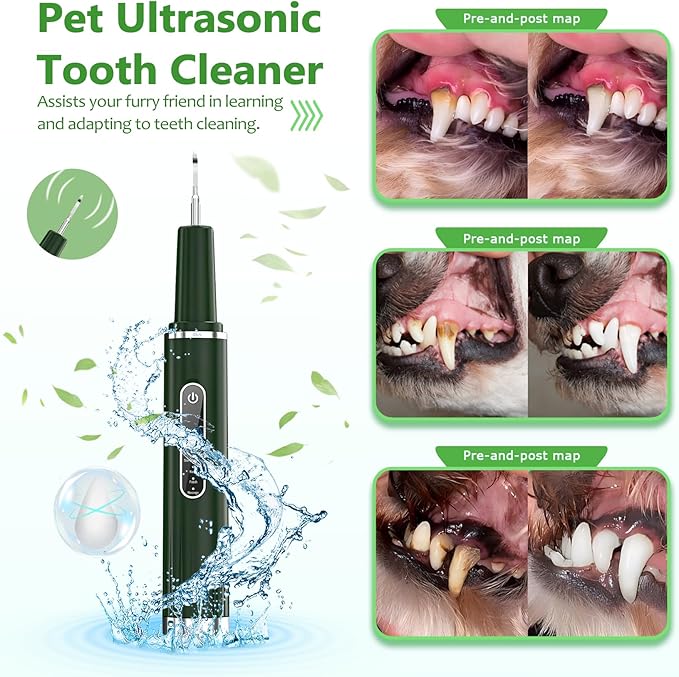 Opdent Dog Plaque Remover for Teeth - Pet Ultrasonic Tooth Cleaner, 6 Adjustable Modes Dog Teeth Cldaning Kit with LED Light, Cats and Dogs Tartar Remover for Teeth (Green, Large)