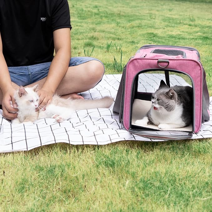 GAPZER Pet Carrier for Large and Medium Cat, Soft-Sided Pet Crate for Puppy | Dog Foldable Car Traveling Kennel Bag with Privacy Protection, Big Kitten Carrying Cage Ventilated Home Outdoor Vet Transport