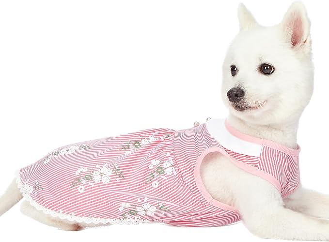 Blueberry Pet Wonderland Floral Sleeveless Dog Dress in Pink Stripe with Peter Pan Collar, Back Length 16", Pack of 1 Clothes for Dogs