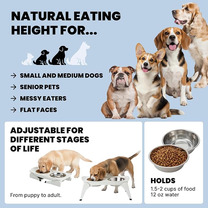 MalsiPree Elevated Dog Bowls - 6.5in Raised Stand, 2 Steel Bowls | Foldable raised feeder - splash guard, 2 steel bowls - Use for small dogs, travel & feeding station