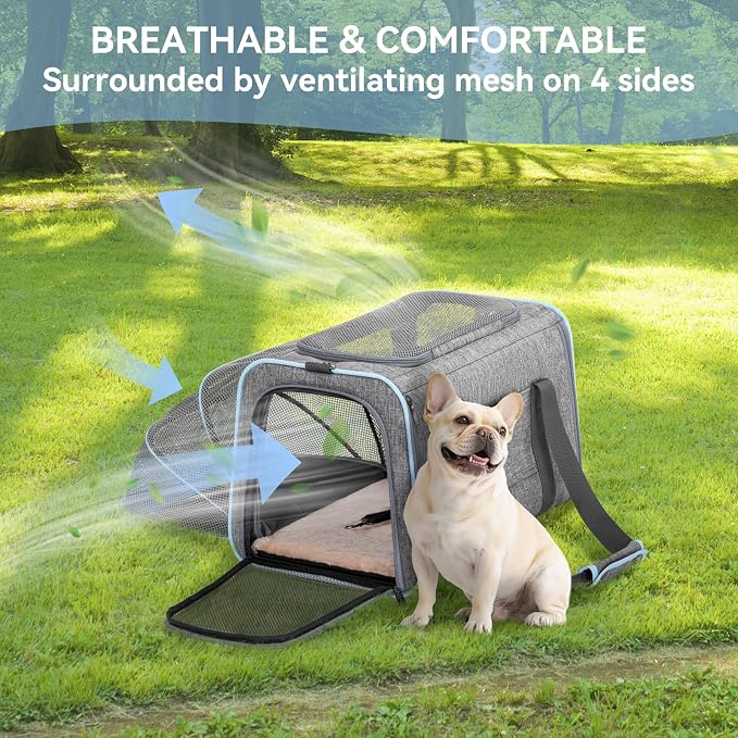 Petsfit Large Expandable Cat Carrier for Travel, Up to 18 lb | 19 x 12 x 12 in; roomy expandable space with a reinforced frame, locking zippers, interior safety tether and large pocket.