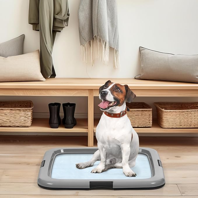 IRIS USA Pee Pad Holder, Fits 22x22 Pads, Black/Gray, Made in USA | Dog Training Pad Holder, Holds Pads in Place, Leakproof Design, Secure Latches, Non-Skid Feet, Easy Clean Surface