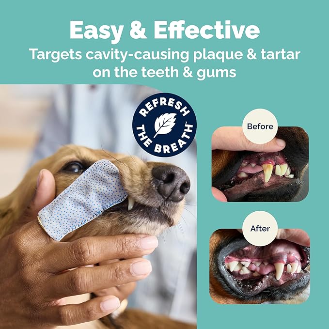 Vetnique Dentabliss Dog Dental Finger Mitts, Vet-Formulated Plaque and Breath Control, Secure-Fit Design, Pre-Moistened Cotton Mitts for Daily Dog Teeth Cleaning, 50 Count (Peppermint Flavored)