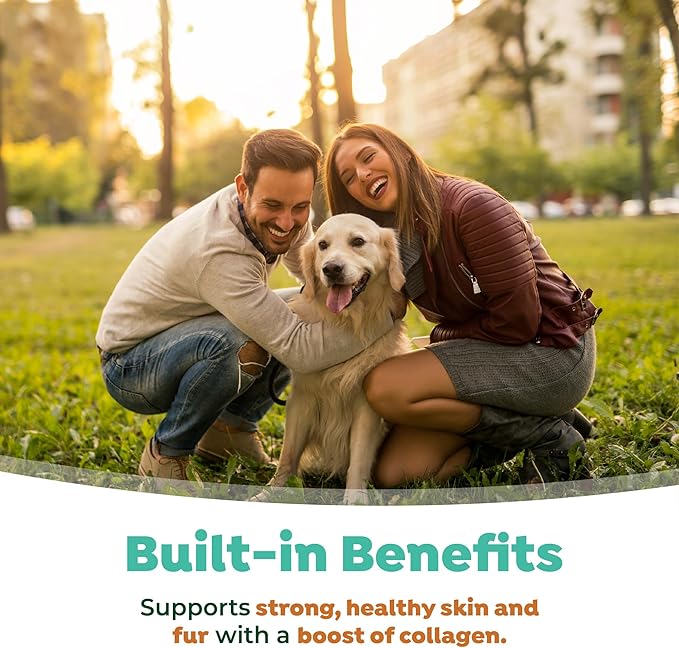 TropiClean Fresh Breath Water Additive for Dogs with Collagen, Skin Health Support for Dogs, Breath Freshener and Teeth Cleaning Solution, 16oz.