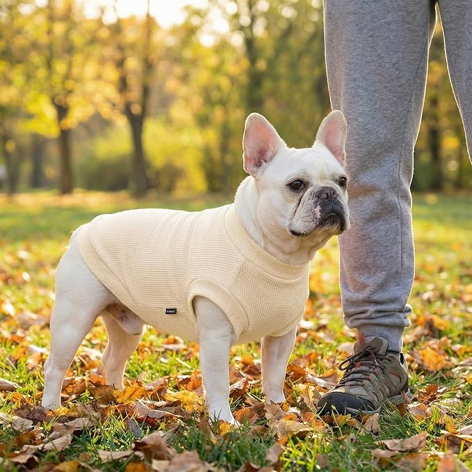 2 Pack Dog Shirt for Small Supplies Functional Waffle Dog Clothes Warm Soft Sweatshirt Outfit for Dogs Cats Pet Apparel