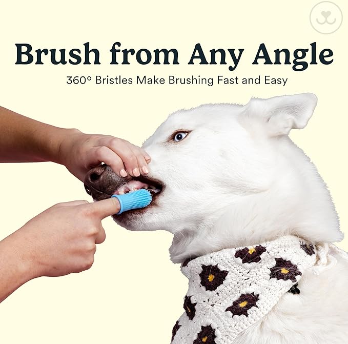 Jasper Dog Toothbrush, 360 Degree Pet Tooth Brushing Kit, Cat Toothbrush, Canine Dental Care & Teeth Cleaning Kit, Pet Finger Tooth Brush, Use with Dog Toothpaste, 16-Pack Blue