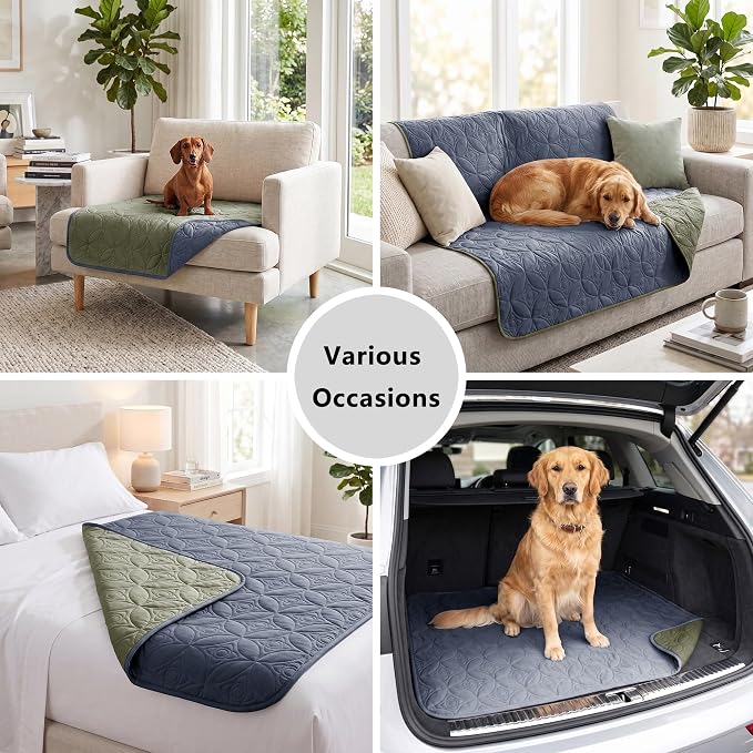 Waterproof Couch Cover for Dogs - Washable Pets Furniture Protector | TPU Leak-Proof Liner, Lightweight & Reversible, Fits Chair, Sofa, Bed, 82" x 102" , Blue/Green