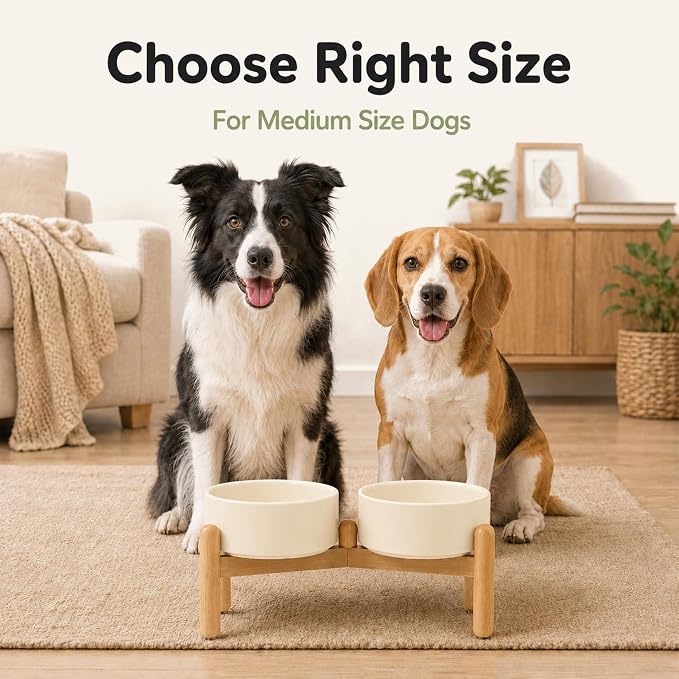 Havniva Ceramic Dog Bowls Elevated, Raised Dog Food Bowl for Medium Dogs | 7.3” Elevated Dog Bowls, Non-Slip Wood Stand, Dog Food and Water Bowl Set, Dog Feeding Dish, Large Capacity Pet Water Bowl