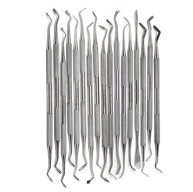 Professional Dental Tools Dental Picks Oral Care, Stainless Steel Hygiene Kit Set with Tooth Scraper Tartar Scaler Tweezers Mouth Mirror for Personal & Pet Oral Care Use (Restorative Set of 17 pcs)
