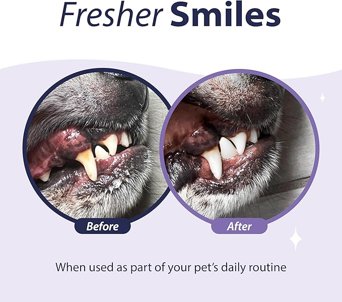 Dental Fresh Enzymatic Gel Dog Tooth Brushing Kit, Includes Triflex Toothbrush and Toothpaste for Teeth Cleaning
