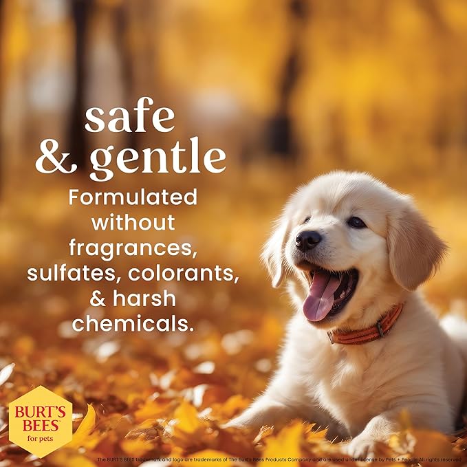 BURT'S BEES FOR PETS Tearless Puppy Shampoo with Buttermilk, 95% Natural Origin Formulas, Shampoo for Puppies - Gentle Dog and Puppy Shampoo Tear Free, Best Puppy Shampoo Tearless, 32 oz