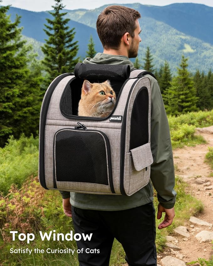 pecute Cat Backpack Expandable, Cat Backpack for Cat with Breathable Window | Durable Oxford Cloth, Lockable Zipper,Use for Pet Under 11 lbs to Travel