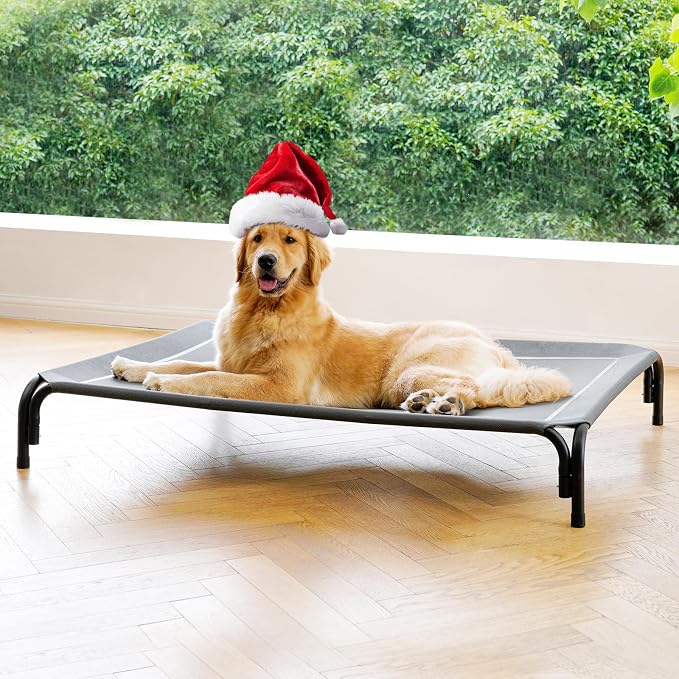 Elevated Dog Bed Outdoor Cooling Raised Cot for XL Dogs, Gray 48.8in | Tool-Free Installation; Washable Cooling Breathable Mesh; Anti-Slip Feet; Indoor & Outdoor Use