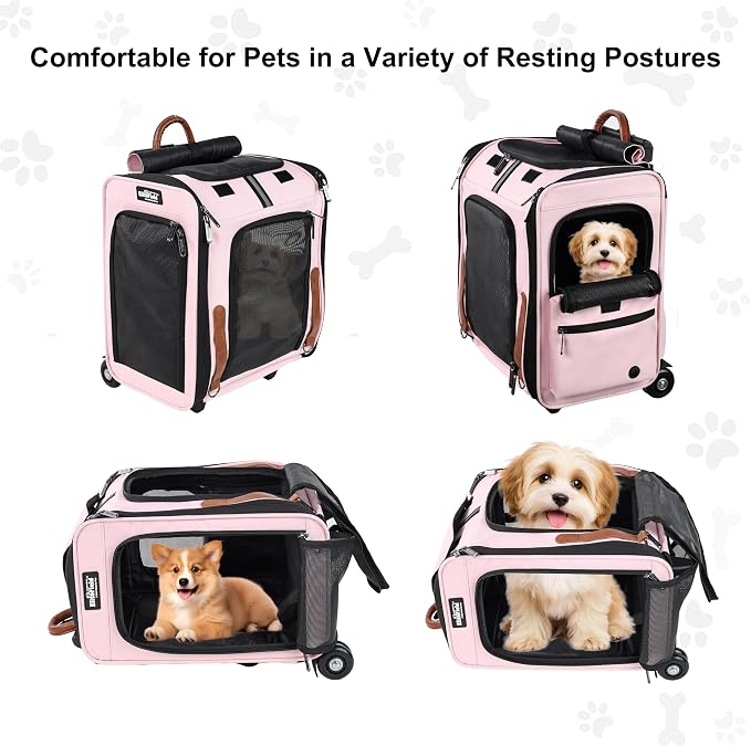 EliteField Deluxe Rolling Backpack Dog & Cat Carrier (2-Year Warranty) | Airline Approved, Waterproof Fabric, Scratch-Resistant Mesh, Retractable Handle, Wheels, Built-In Leash
