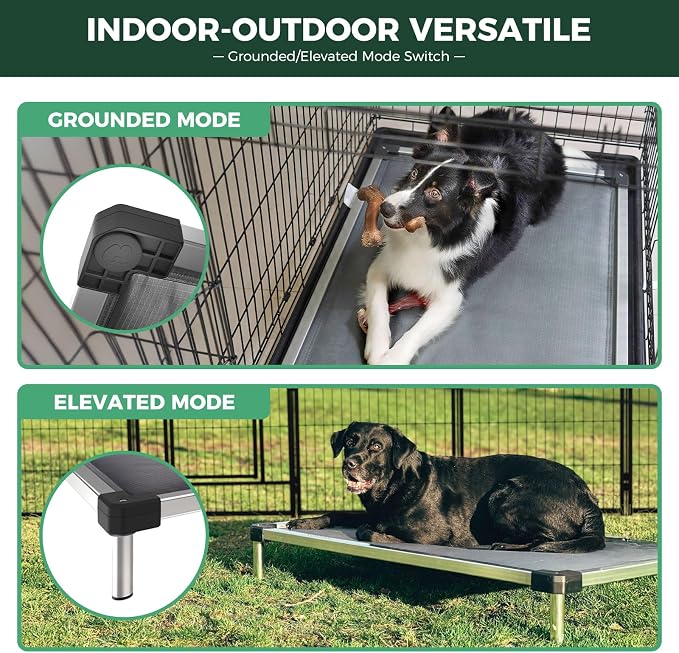 FXW TitanNest Padded Chew-Proof Elevated Dog Bed for Extra-Large Dogs | Easy to Clean, Pre-assembly Raised Cot, Indoor/Outdoor/Camping, 56 x 31 x 7.3in