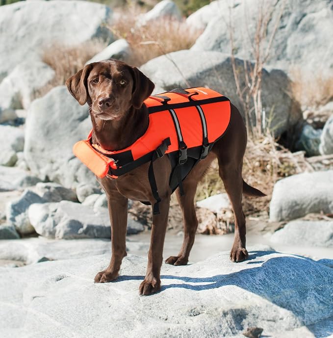 ZippyPaws Adventure Dog Life Jacket - Dog Life Vest for Swimming & Boating | Fits Pets, Lightweight Dog Flotation Device for Water Safety, Padded Handle, Adjustable Fit, 6-10" - XX-Small, Red