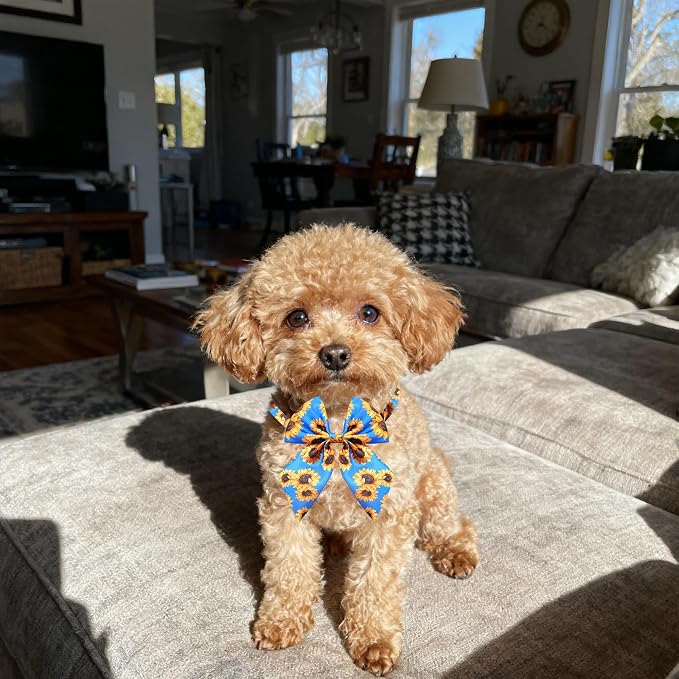 PET SHOW 10 Pack Daily Sailor Dog Bowties for Small Dogs