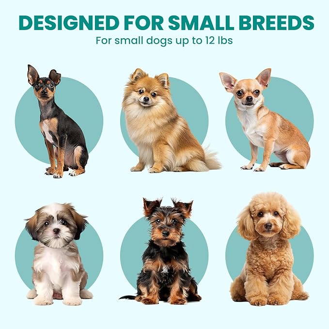 PAWD Collapsible Puppy and Dog Crate - Stylish Pet Kennel - Safe Indoor Kennel- Lightweight, Compact & Portable for Travel - Small White