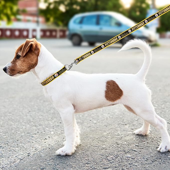 NFL PET Leash Pittsburgh Steelers Dog Leash, Large Football Team Leash for Dogs & Cats. A Shiny & Colorful Cat Leash & Dog Leash Licensed by The NFL
