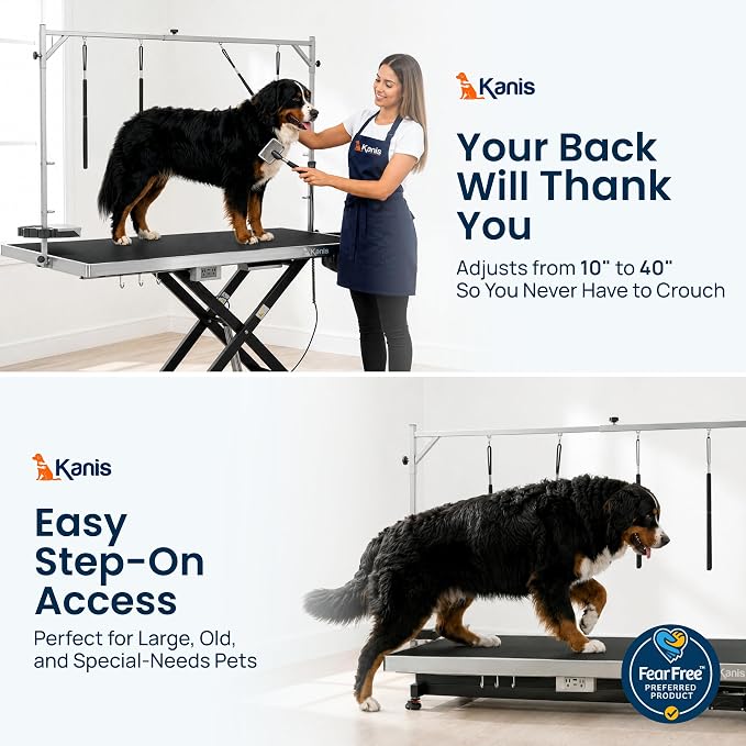 Professional Electric Dog Grooming Table - Heavy Duty | Height Adjustable Pet Grooming Table w/Leveling Wheels, Dog Grooming Arm, Anti-Slip Tabletop & Tool Organizer (Black, 60")